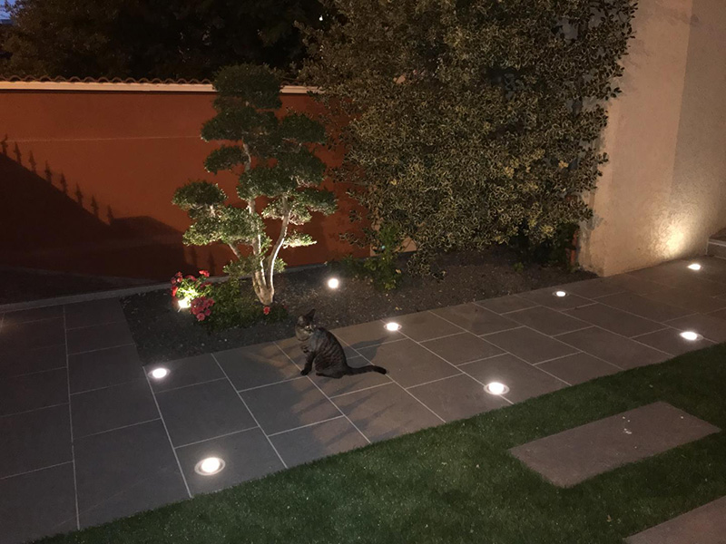 Entreprise élagage arbre Priay