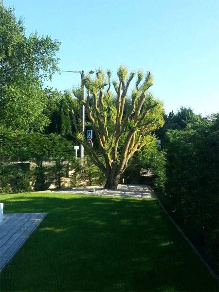 Entretien de jardin Priay