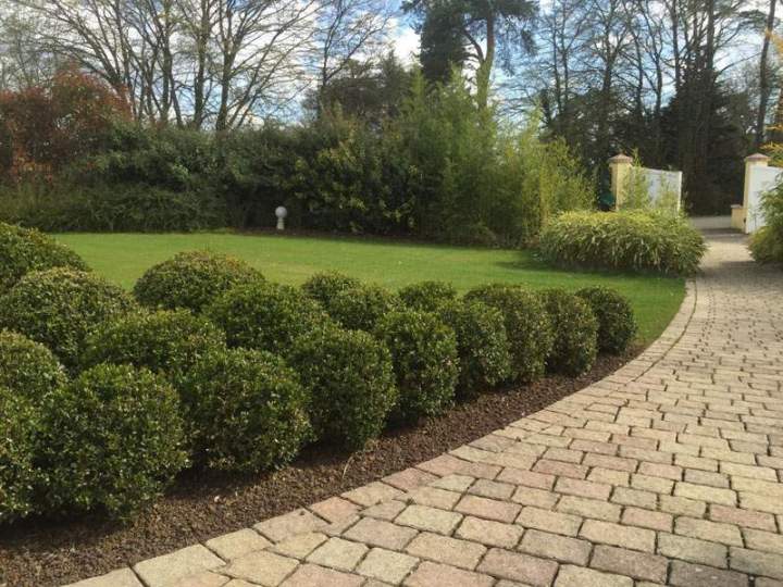 Taille de végétaux Priay