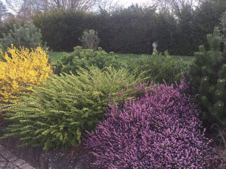 Entretien de végétaux Priay