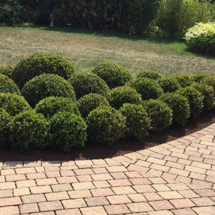 Aménagement d'espace vert Priay