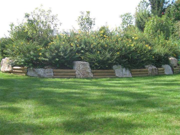 Tonte de pelouse Priay